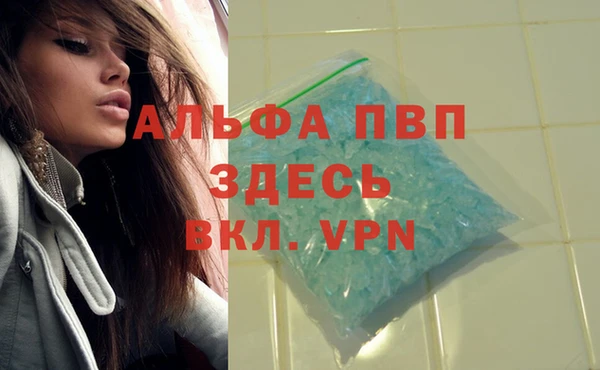 PSILOCYBIN Богородицк