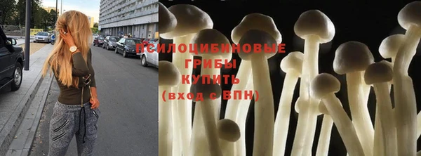PSILOCYBIN Богородицк