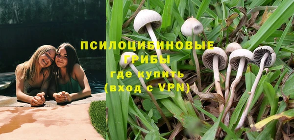марки nbome Богданович