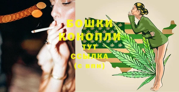 PSILOCYBIN Богородицк