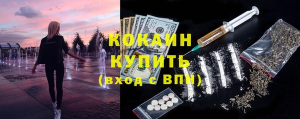 PSILOCYBIN Богородицк
