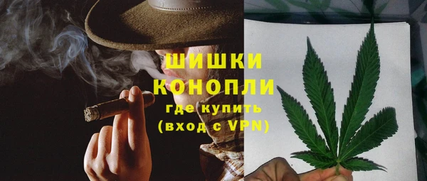 PSILOCYBIN Богородицк