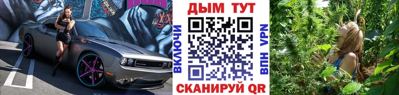 Конопля планчик  Купить  Лесной 